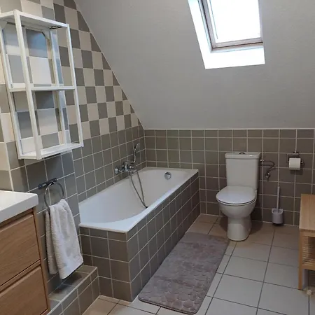 Le Repaire Des Hirondelles - Le Schopf アパート Scharrachbergheim Irmstett