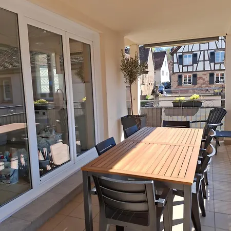 Le Repaire Des Hirondelles - Le Schopf アパート Scharrachbergheim Irmstett